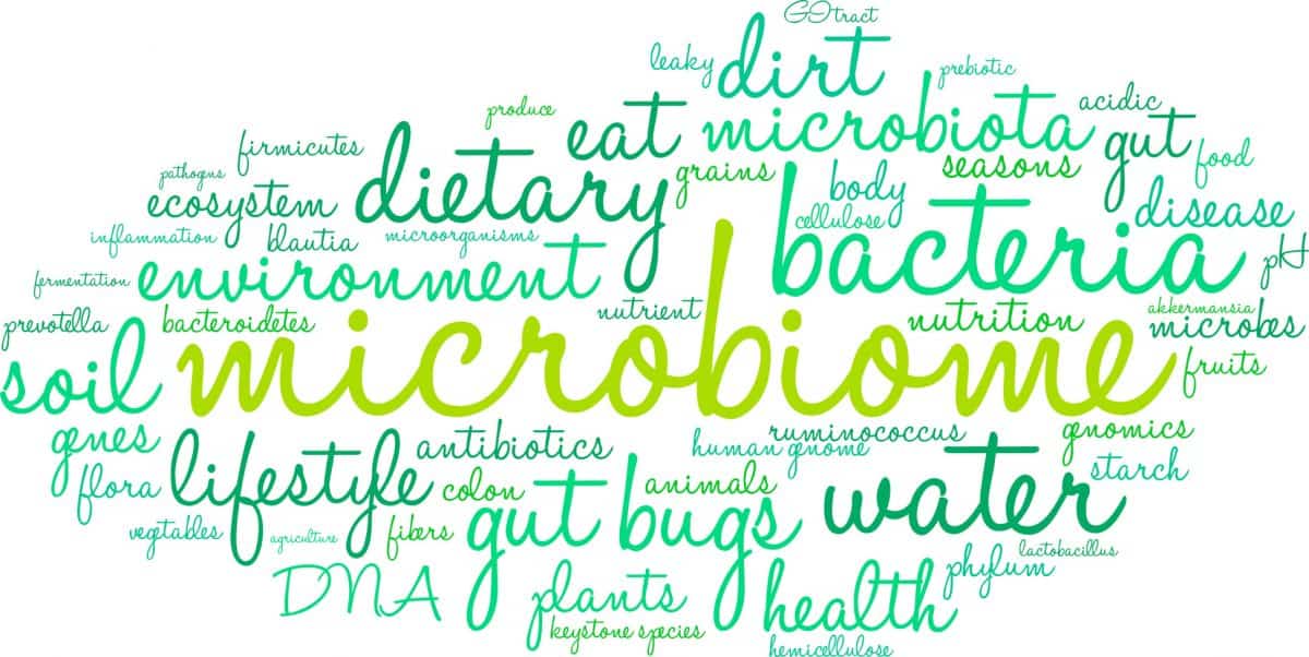 microbiome infographic