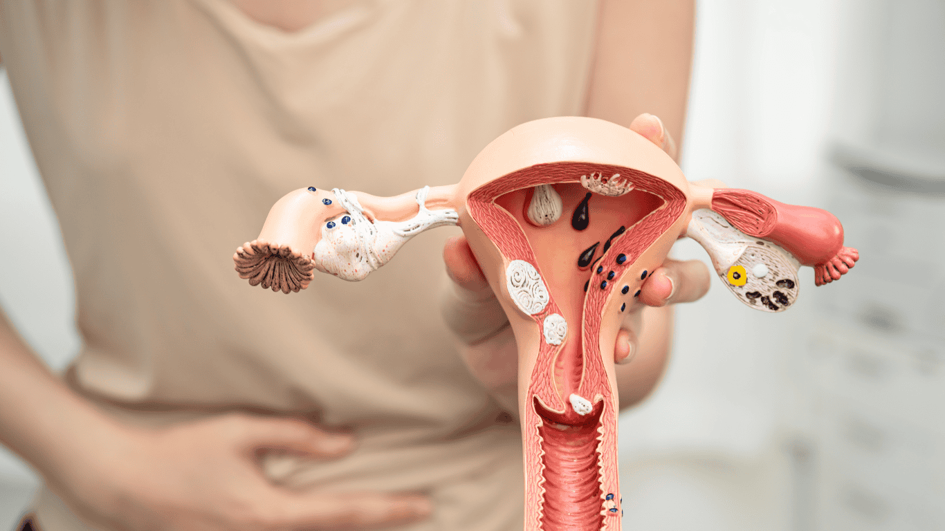 MENOPAUSE AND PERIMENOPAUSE: SCIENCE, STRATEGIES & LIFESTYLE TOOLS TO OPTIMIZE WOMEN’S HORMONES