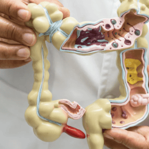 Gut Health